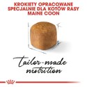 ROYAL CANIN Maine Coon Kitten 10kg