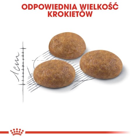 ROYAL CANIN Outdoor 4kg ROYAL CANIN Outdoor 4kg