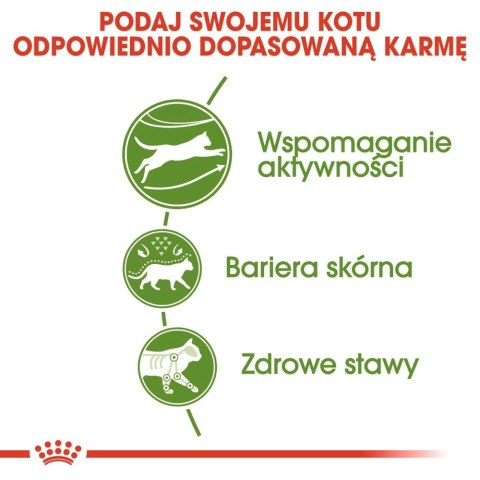 ROYAL CANIN Outdoor 4kg ROYAL CANIN Outdoor 4kg
