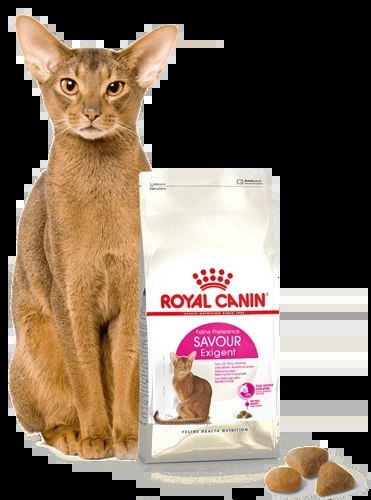 ROYAL CANIN Savour Exigent 10kg