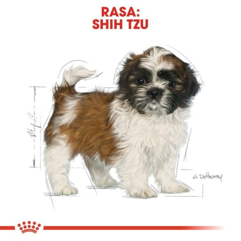 ROYAL CANIN Shih Tzu Puppy 1,5kg ROYAL CANIN Shih Tzu Puppy 1,5kg