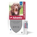 Bayer Advantix Krople Na Kleszcze I Pchły 4x4ml Bayer Advantix Krople Na Kleszcze I Pchły 4x4ml