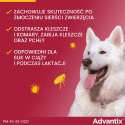 Bayer Advantix Krople Na Kleszcze I Pchły 4x4ml Bayer Advantix Krople Na Kleszcze I Pchły 4x4ml