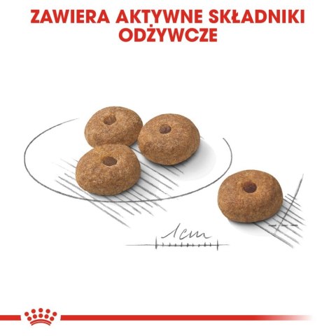 ROYAL CANIN CCN Mini Sterilised 8kg ROYAL CANIN CCN Mini Sterilised 8kg