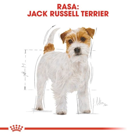 ROYAL CANIN Jack Russell Terrier Adult 1,5kg ROYAL CANIN Jack Russell Terrier Adult 1,5kg
