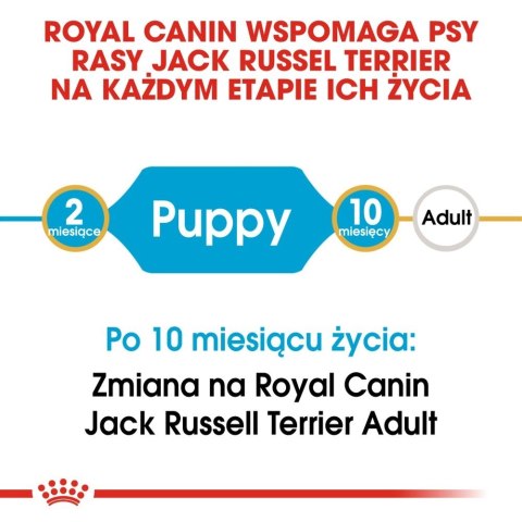 ROYAL CANIN Jack Russell Terrier Puppy 3kg ROYAL CANIN Jack Russell Terrier Puppy 3kg