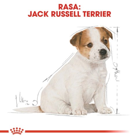 ROYAL CANIN Jack Russell Terrier Puppy 3kg ROYAL CANIN Jack Russell Terrier Puppy 3kg