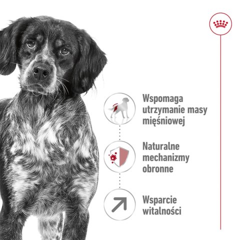 ROYAL CANIN Medium Adult 7+ 15kg ROYAL CANIN Medium Adult 7+ 15kg
