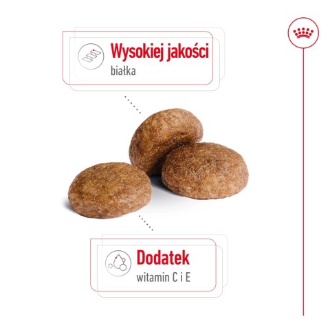 ROYAL CANIN Medium Adult 7+ 15kg ROYAL CANIN Medium Adult 7+ 15kg