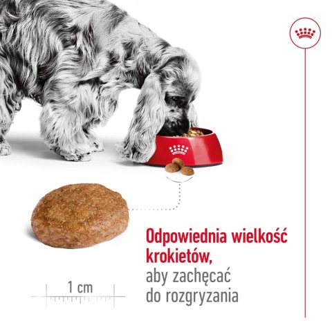 ROYAL CANIN Medium Adult 7+ 15kg ROYAL CANIN Medium Adult 7+ 15kg