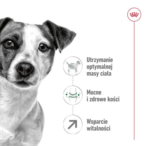 ROYAL CANIN Mini Adult +8 8kg ROYAL CANIN Mini Adult +8 8kg