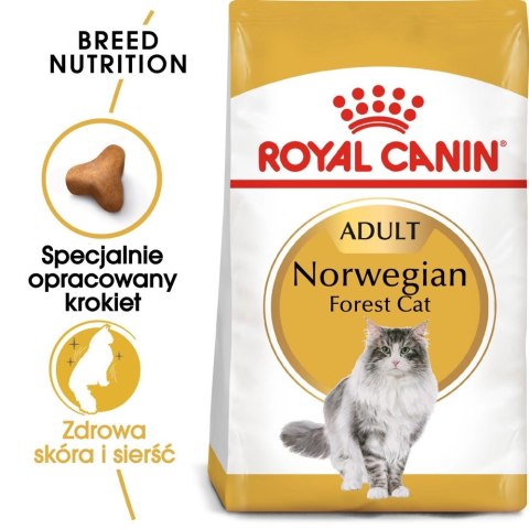 ROYAL CANIN Norwegian Forest Cat Adult 2kg ROYAL CANIN Norwegian Forest Cat Adult 2kg