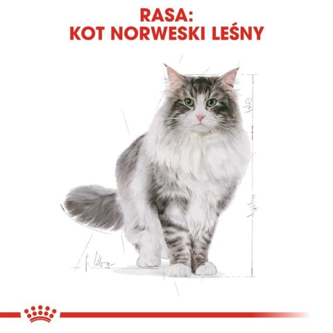 ROYAL CANIN Norwegian Forest Cat Adult 2kg ROYAL CANIN Norwegian Forest Cat Adult 2kg