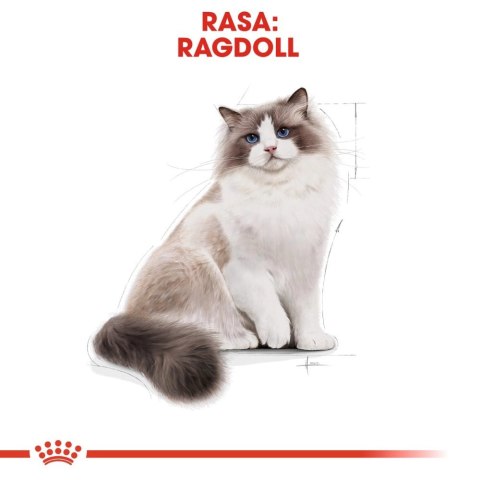 ROYAL CANIN Ragdoll Adult 2kg ROYAL CANIN Ragdoll Adult 2kg