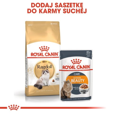 ROYAL CANIN Ragdoll Adult 2kg ROYAL CANIN Ragdoll Adult 2kg