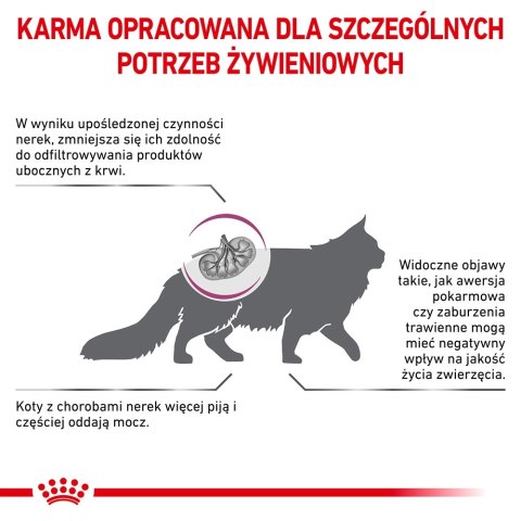 ROYAL CANIN Renal Feline 4kg ROYAL CANIN Renal Feline 4kg