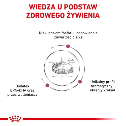 ROYAL CANIN Renal Feline 4kg ROYAL CANIN Renal Feline 4kg