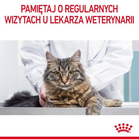 ROYAL CANIN Urinary Care 4kg ROYAL CANIN Urinary Care 4kg
