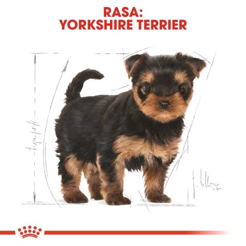 ROYAL CANIN Yorkshire Terrier Puppy 7,5kg ROYAL CANIN Yorkshire Terrier Puppy 7,5kg