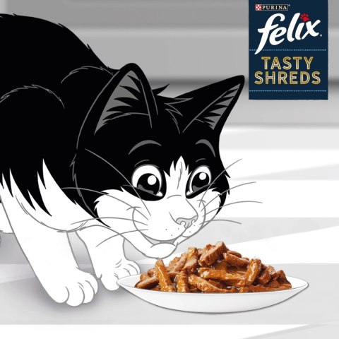 Felix Tasty Shreds Karma Dla Kota Z Łososiem I Tuńczykiem W Sosie 4x80g Felix Tasty Shreds Karma Dla Kota Z Łososiem I Tuńczykiem W Sosie 4x80g
