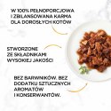 Purina Gourmet Gold kaczka/indyk w sosie 85g