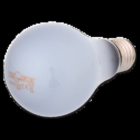 REPTI PLANET Żarówka Daylight Neodymium 100W REPTI PLANET Żarówka Daylight Neodymium 100W