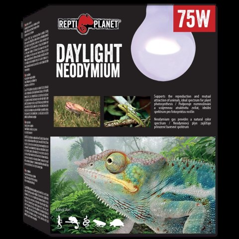 REPTI PLANET Żarówka Daylight Neodymium 75W REPTI PLANET Żarówka Daylight Neodymium 75W