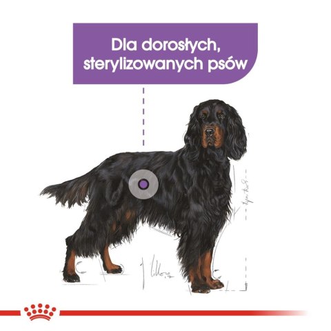 ROYAL CANIN CCN Maxi Sterilised 12kg ROYAL CANIN CCN Maxi Sterilised 12kg