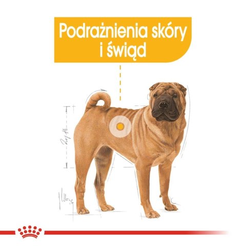 ROYAL CANIN CCN Medium Dermacomfort 12kg ROYAL CANIN CCN Medium Dermacomfort 12kg