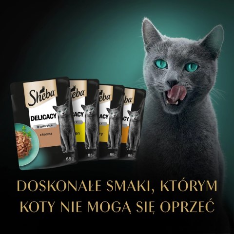 Sheba Delicacy Drobiowe Smaki W Galaretce, Z Kaczką, Z Kurczakiem, Z Drobiem, Z Indykiem 80x85g Sheba Delicacy Drobiowe Smaki W Galaretce, Z Kaczką, Z Kurczakiem, Z Drobiem, Z Indykiem 80x85g