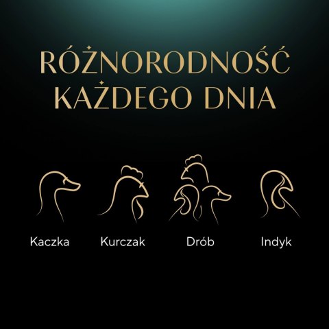Sheba Delicacy Drobiowe Smaki W Galaretce, Z Kaczką, Z Kurczakiem, Z Drobiem, Z Indykiem 80x85g Sheba Delicacy Drobiowe Smaki W Galaretce, Z Kaczką, Z Kurczakiem, Z Drobiem, Z Indykiem 80x85g