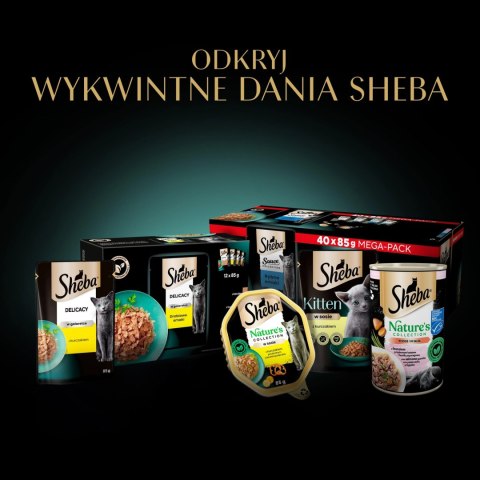 Sheba Delicacy Drobiowe Smaki W Galaretce, Z Kaczką, Z Kurczakiem, Z Drobiem, Z Indykiem 80x85g Sheba Delicacy Drobiowe Smaki W Galaretce, Z Kaczką, Z Kurczakiem, Z Drobiem, Z Indykiem 80x85g