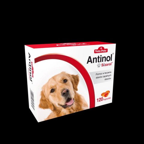 BIOVICO ANTINOL SIZAROL PIES 120 tabletek NA STAWY BIOVICO ANTINOL SIZAROL PIES 120 tabletek NA STAWY