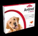 BIOVICO ANTINOL SIZAROL PIES 30 tabletek NA STAWY BIOVICO ANTINOL SIZAROL PIES 30 tabletek NA STAWY