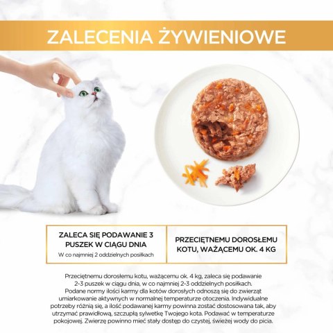 Purina Gourmet Gold Savoury Cake z kurczakiem i marchewką 85g Purina Gourmet Gold Savoury Cake z kurczakiem i marchewką 85g