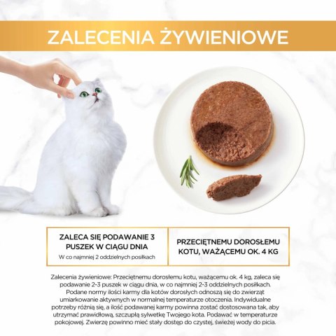 Purina Gourmet Gold mus z wołowiną 85g Purina Gourmet Gold mus z wołowiną 85g
