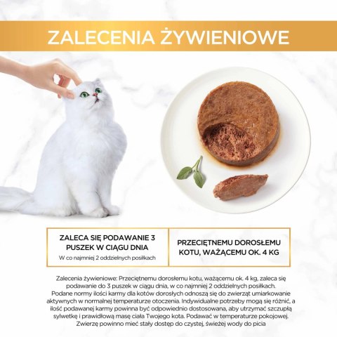 Purina Gourmet Gold pasztet z królikiem 85g Purina Gourmet Gold pasztet z królikiem 85g