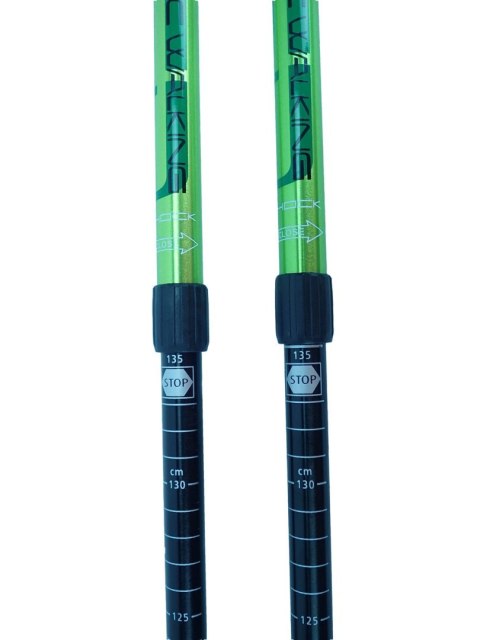 Kije Trekkingowe Regulowane ACRA 65 - 135 cm Zielone Kije Trekkingowe Regulowane ACRA 65 - 135 cm Zielone