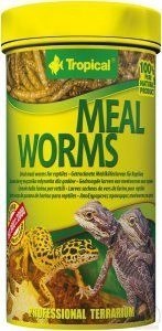 Tropical Meal Worms 100ml Tropical Meal Worms 100ml