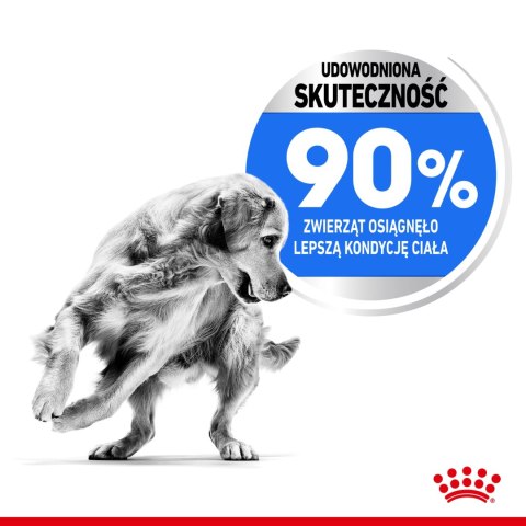 ROYAL CANIN CCN Maxi Light Weight Care 12kg