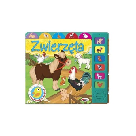 Odkrywam dźwięki zwierzęta Odkrywam dźwięki zwierzęta