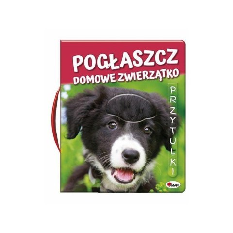 Pogłaszcz domowe zwierzątko Pogłaszcz domowe zwierzątko