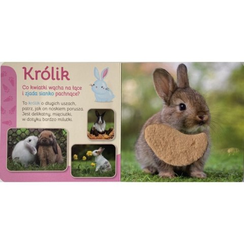 Przytul mnie pupile Przytul mnie pupile